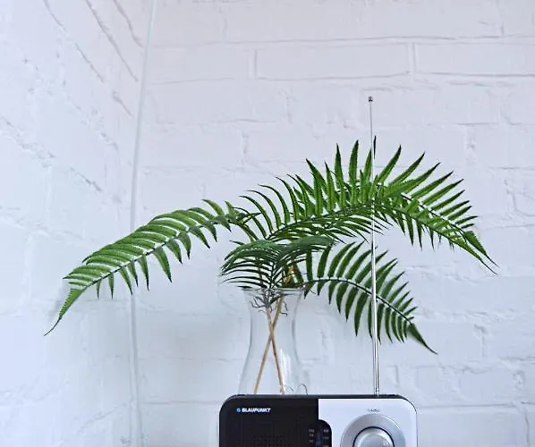 Victus Apartamenty, Appartement